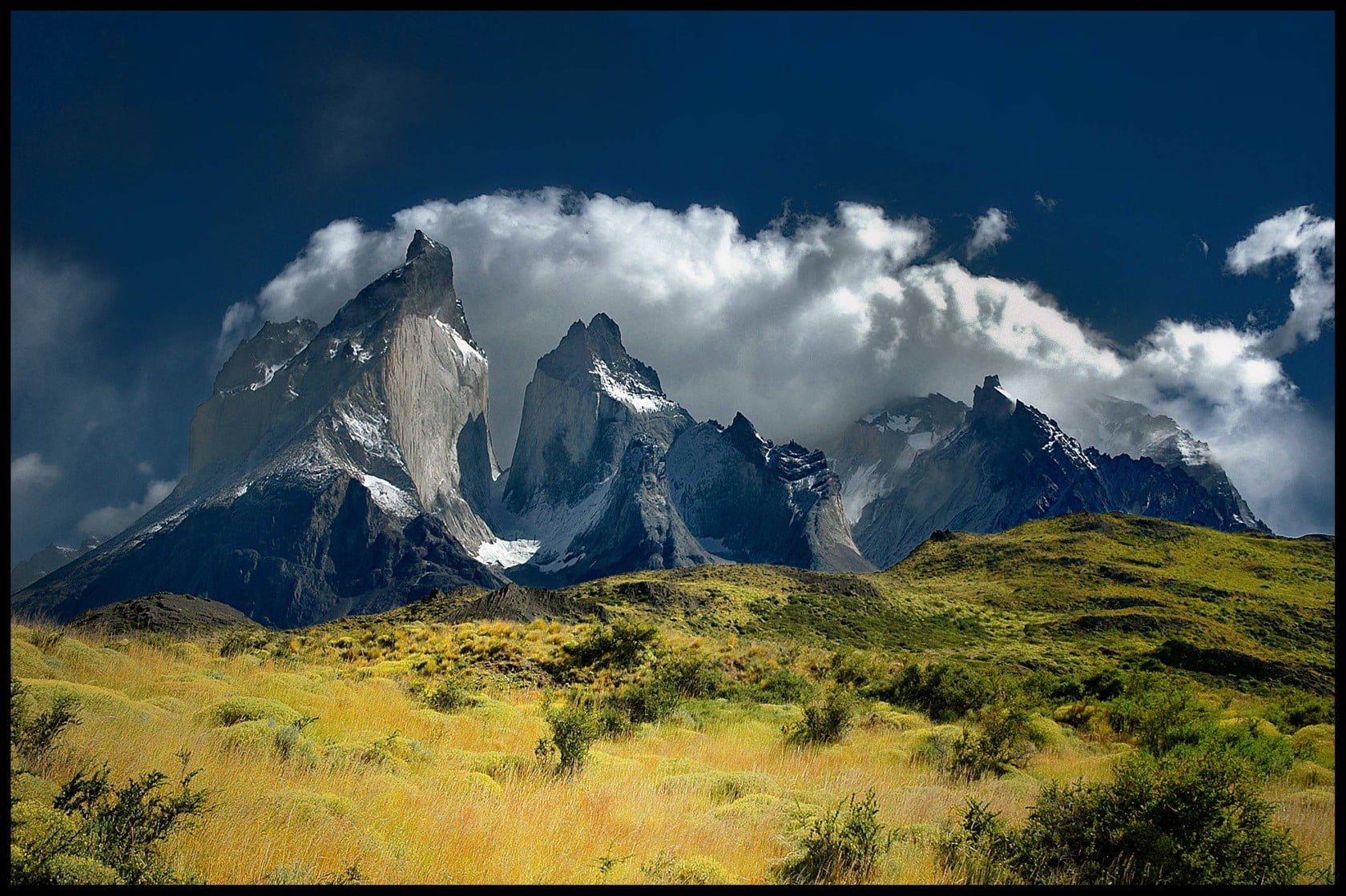 green leafed tree mountains Chile nature clouds landscape 2k
