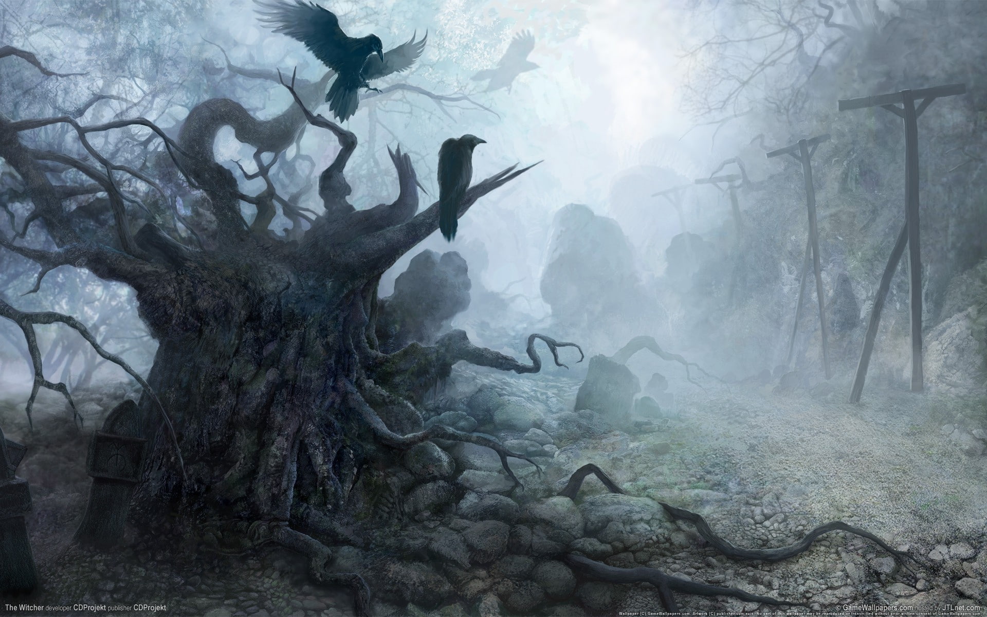 raven deep forest mist The Witcher fantasy art video games 2k