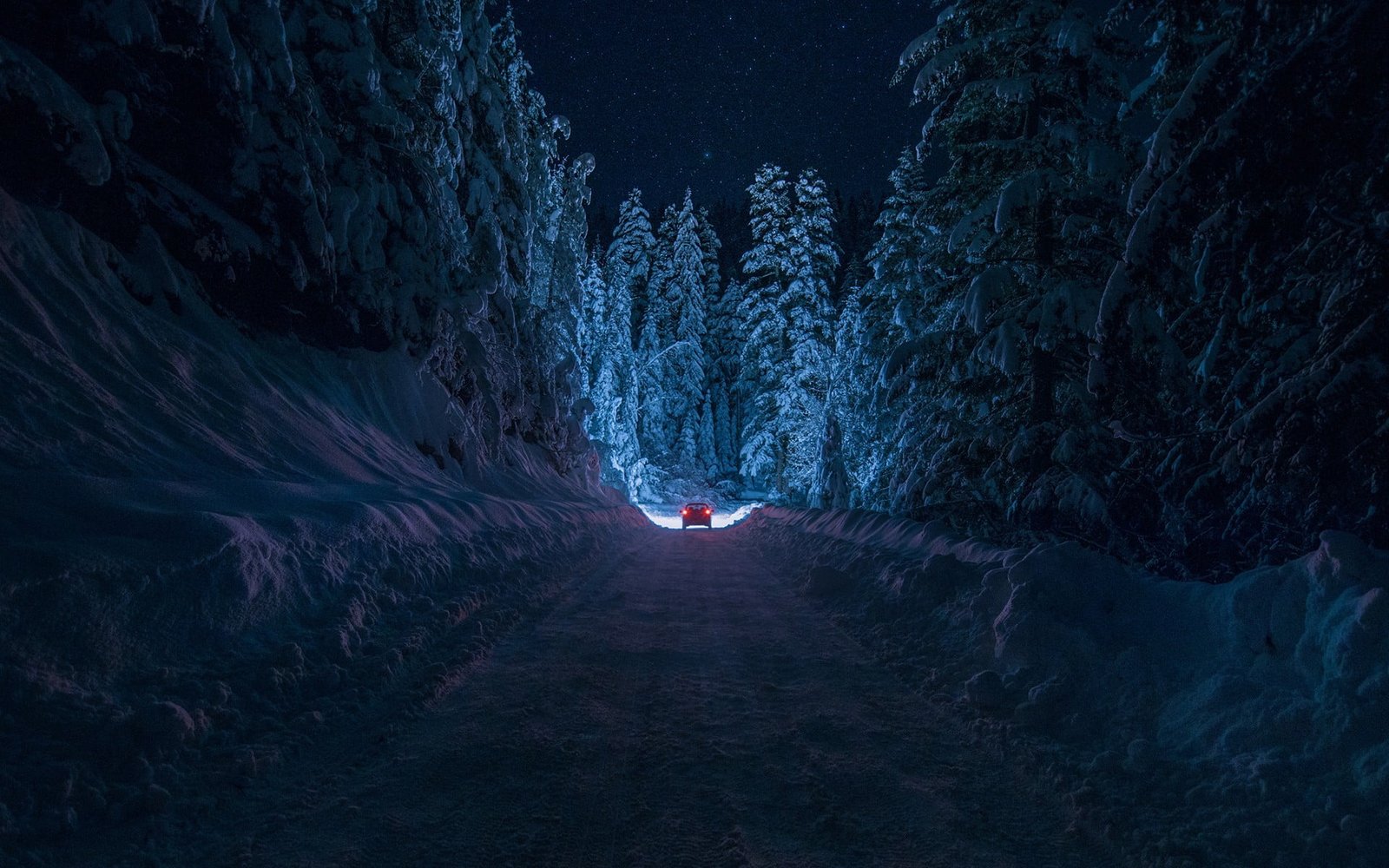 red car on dirt road illustration vehicle running between trees at night 2k