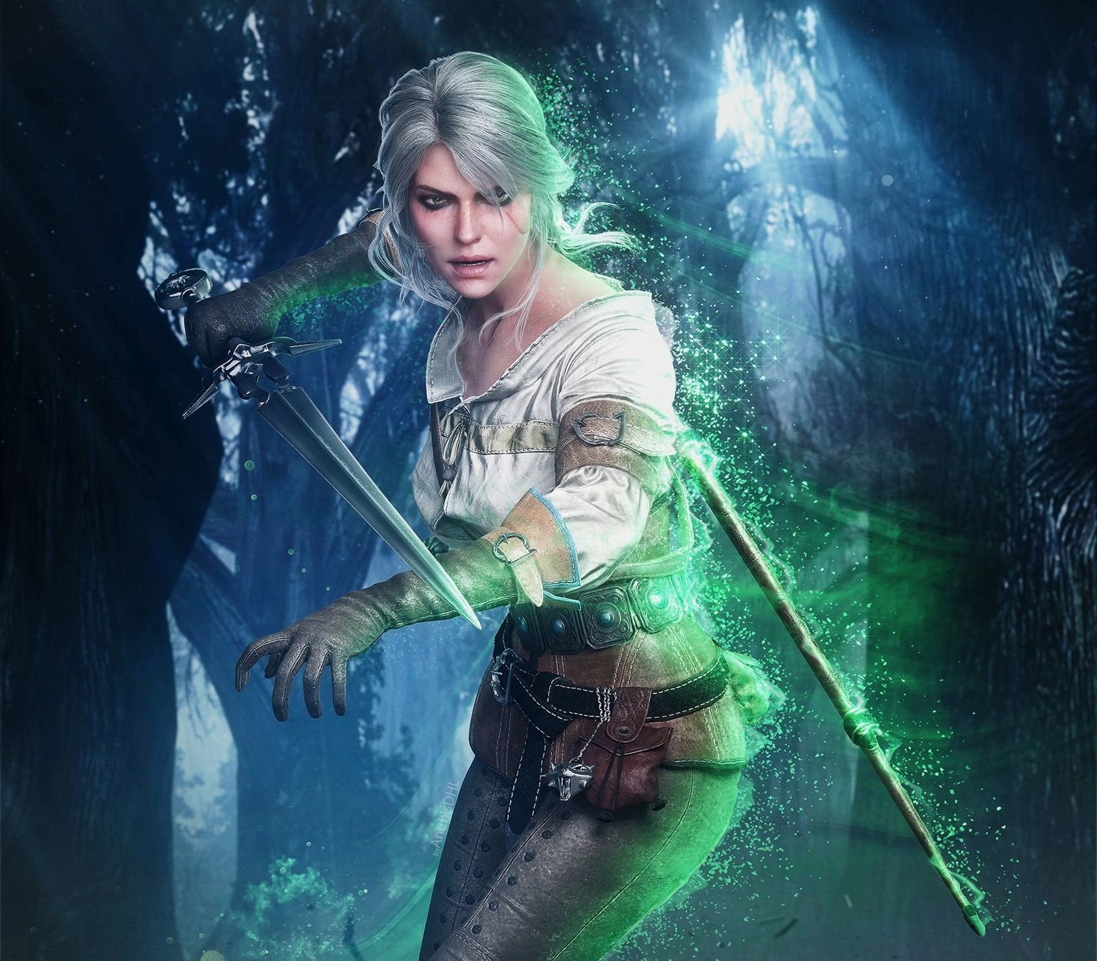 The Witcher 3 Wild Hunt Ciri one person 2k