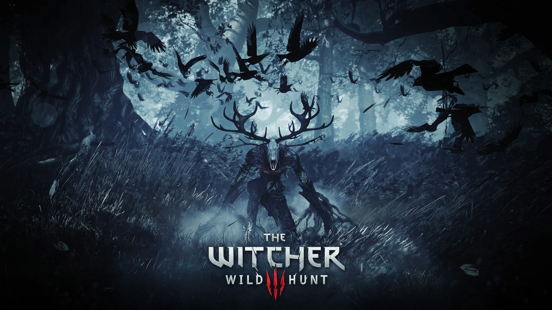 The Witcher 3 Wild Hunt 2k