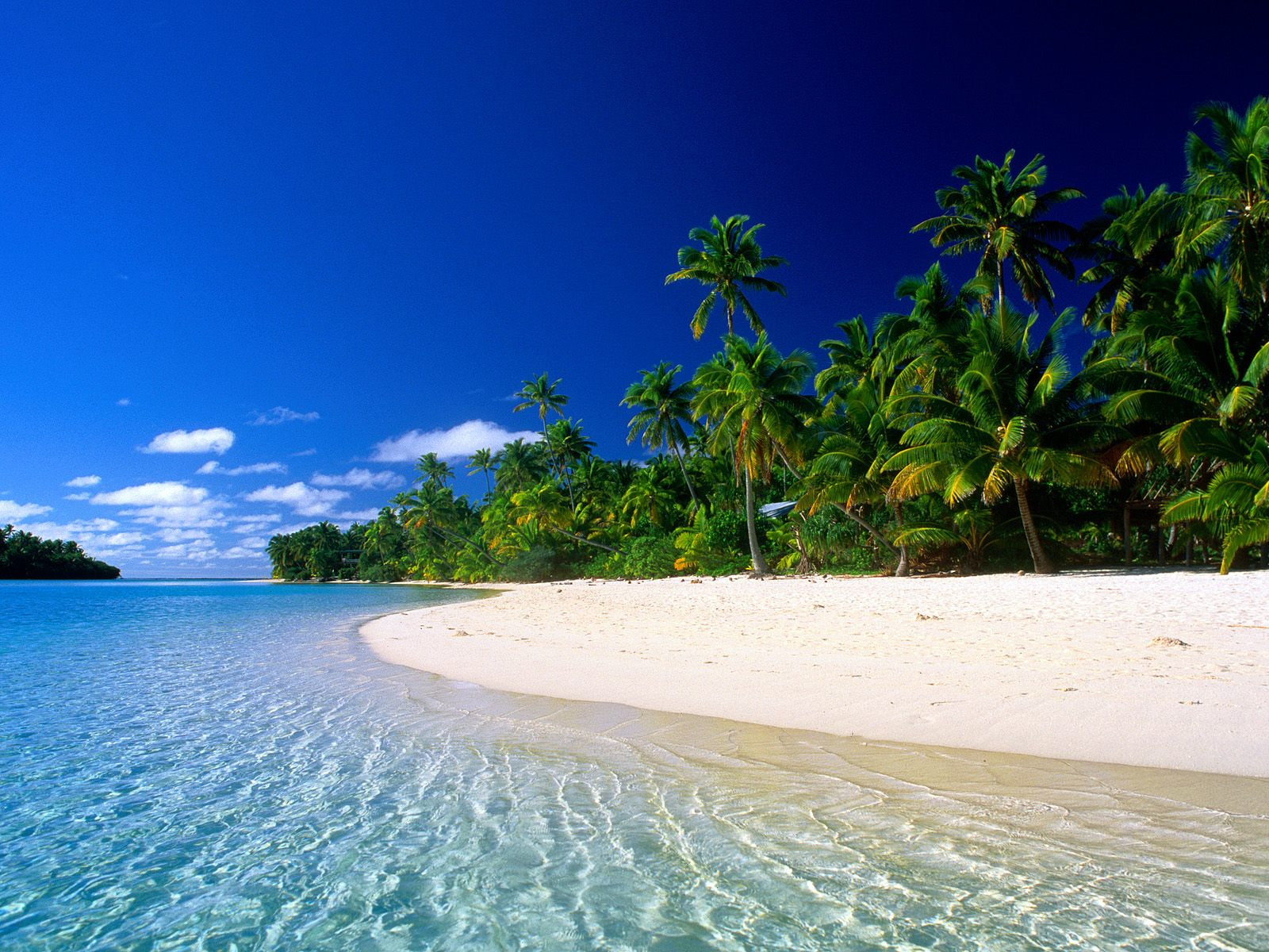 beach cook Island tropical Beach 2k
