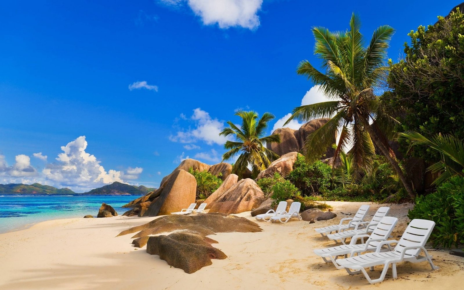 beach palm trees tropical rocks sand 2k