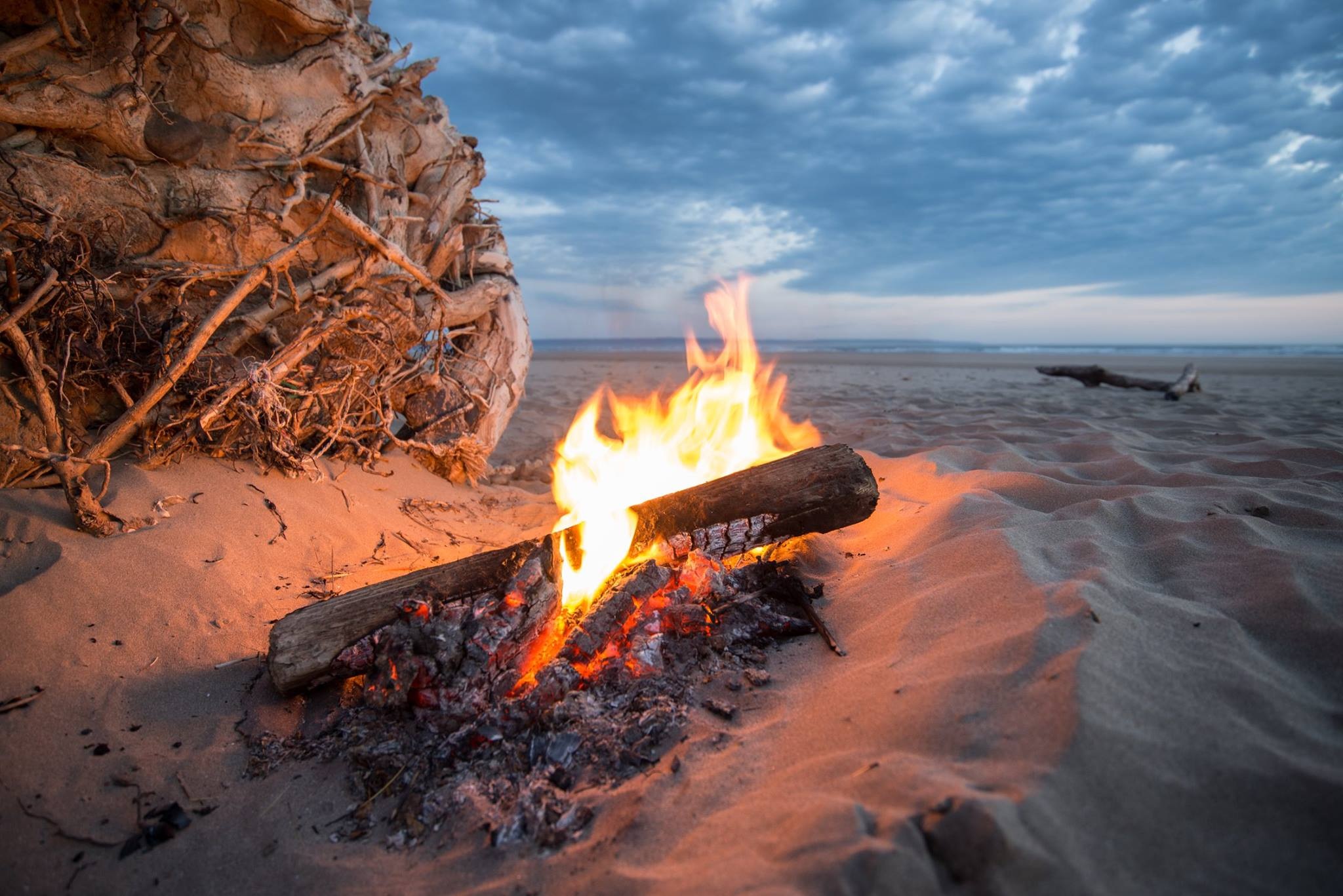 bonfire near sea at golden hour campfire beach heat flame 2k