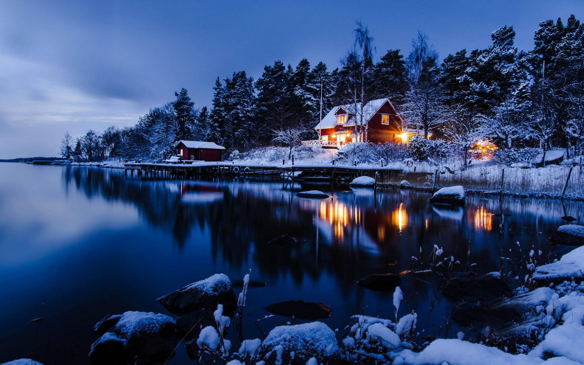 bosque invierno lago paisaje illuminated tree winter 2k