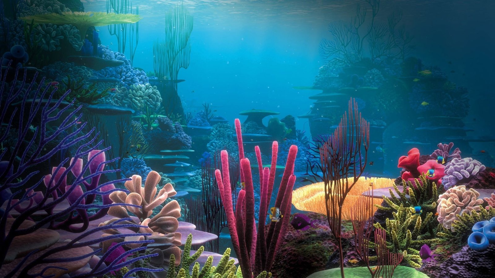 finding nemo Nature Oceans HD Art 2k