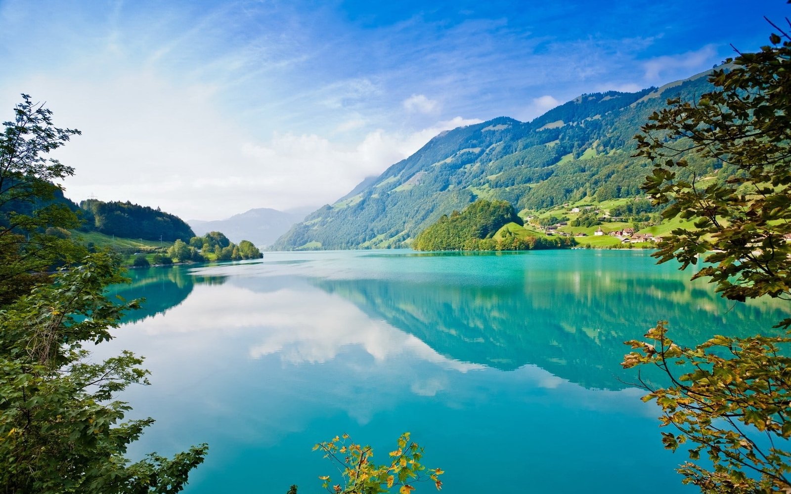 green leafed tree nature landscape turquoise mountains lake 2k