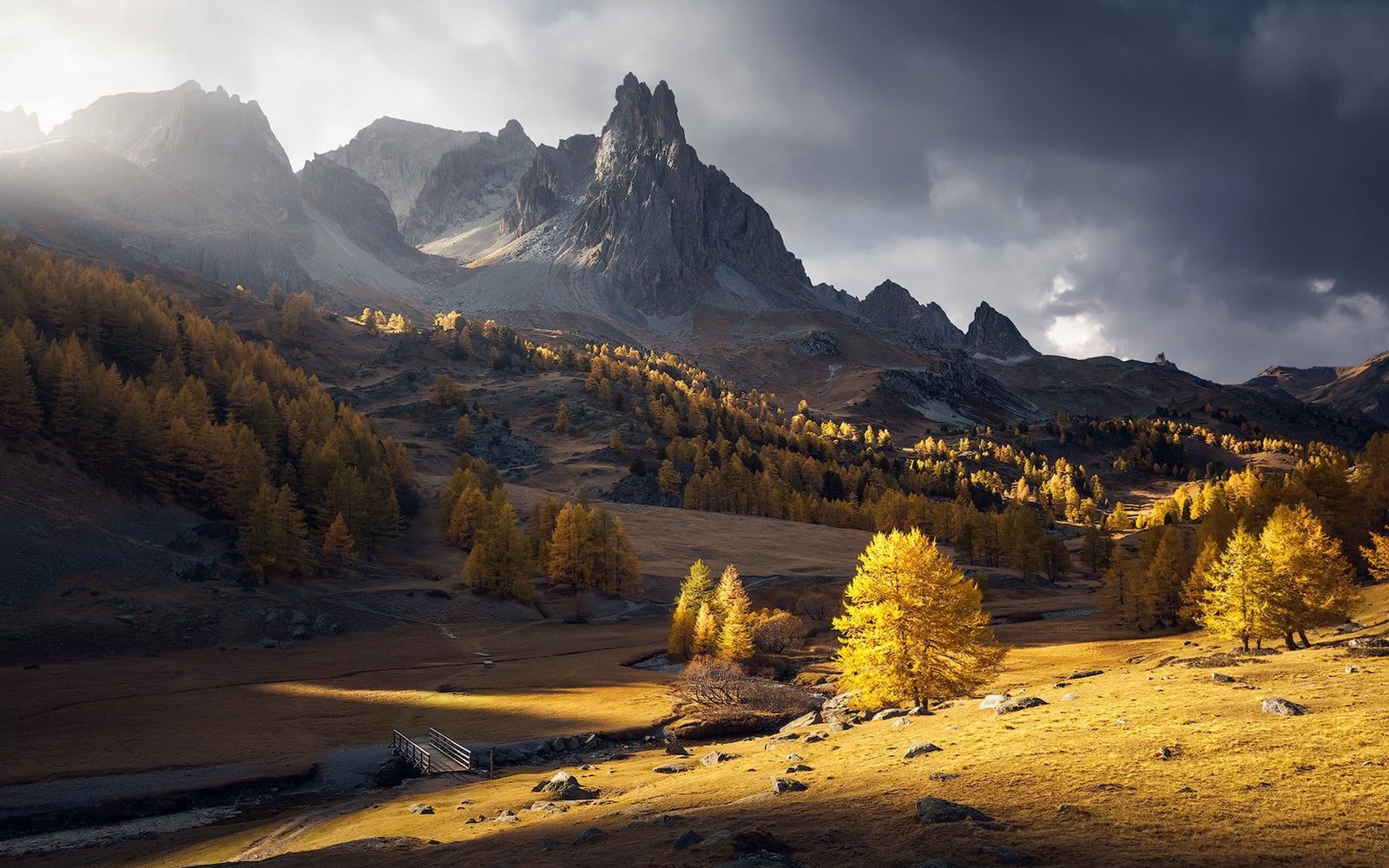 green leafed trees untitled nature landscape mountains fall 2k