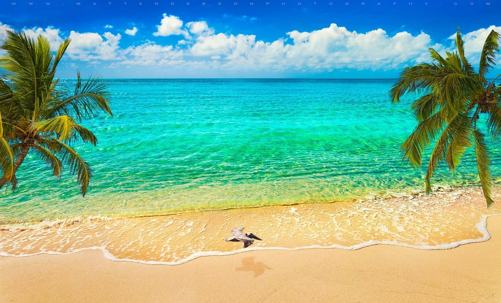 green ocean water under blue sky nature landscape sand beach 2k