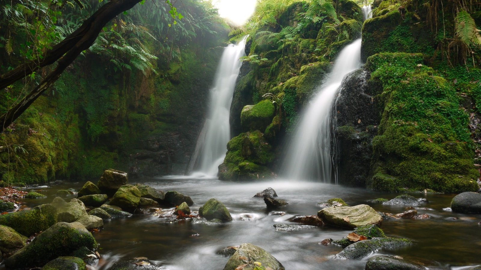 raging waterfalls nature landscape tree scenics 2k
