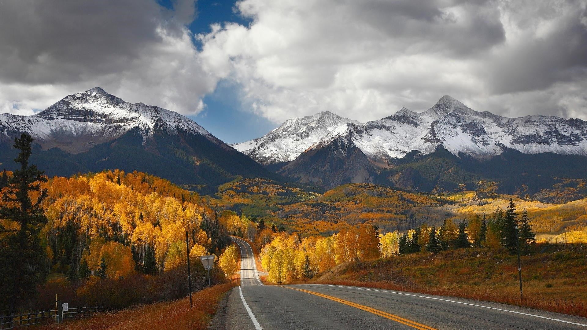 road and brown trees photo snowy mountain fall nature 2k