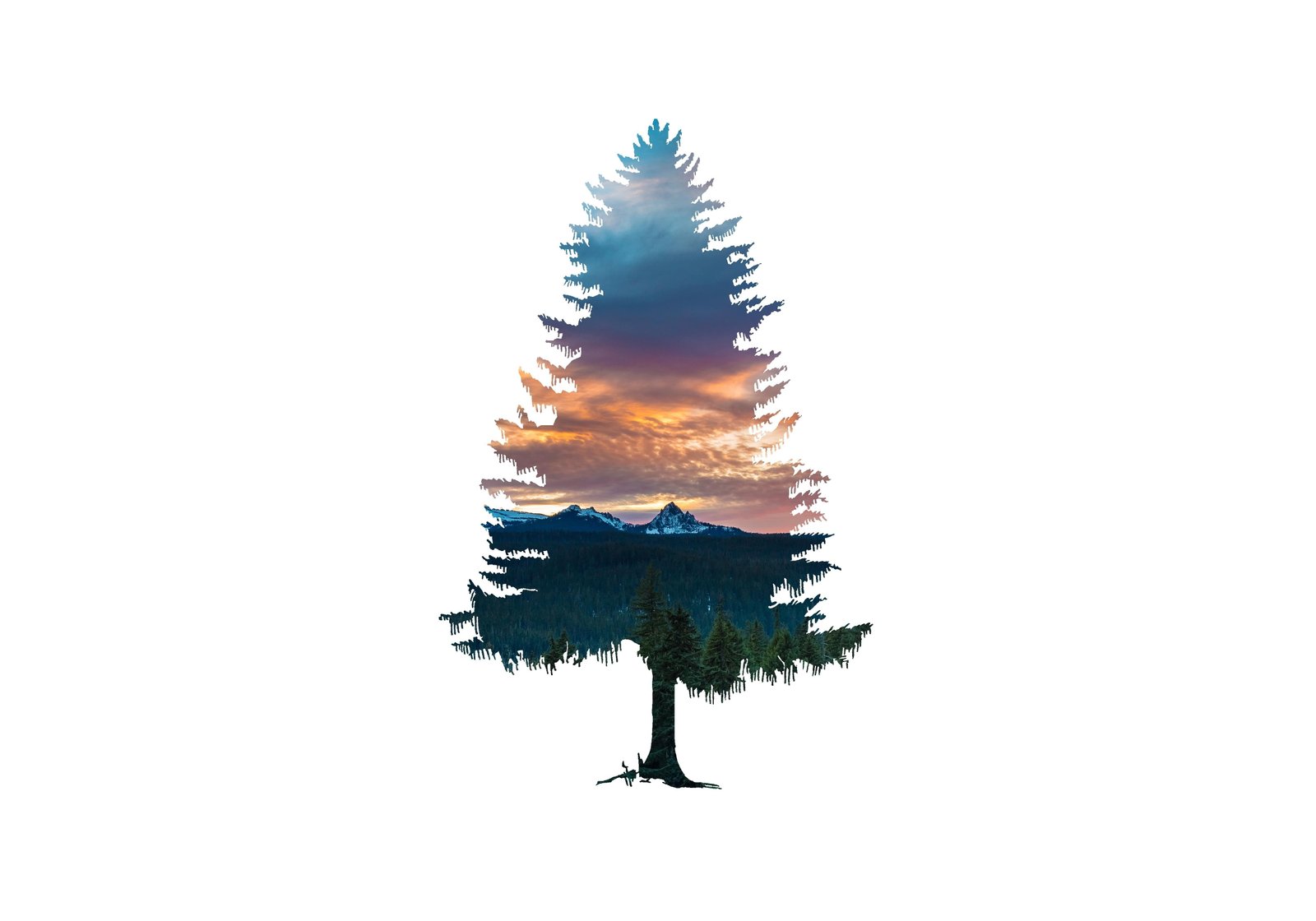 simple background nature minimalism forest trees artwork 2k 4k 5k
