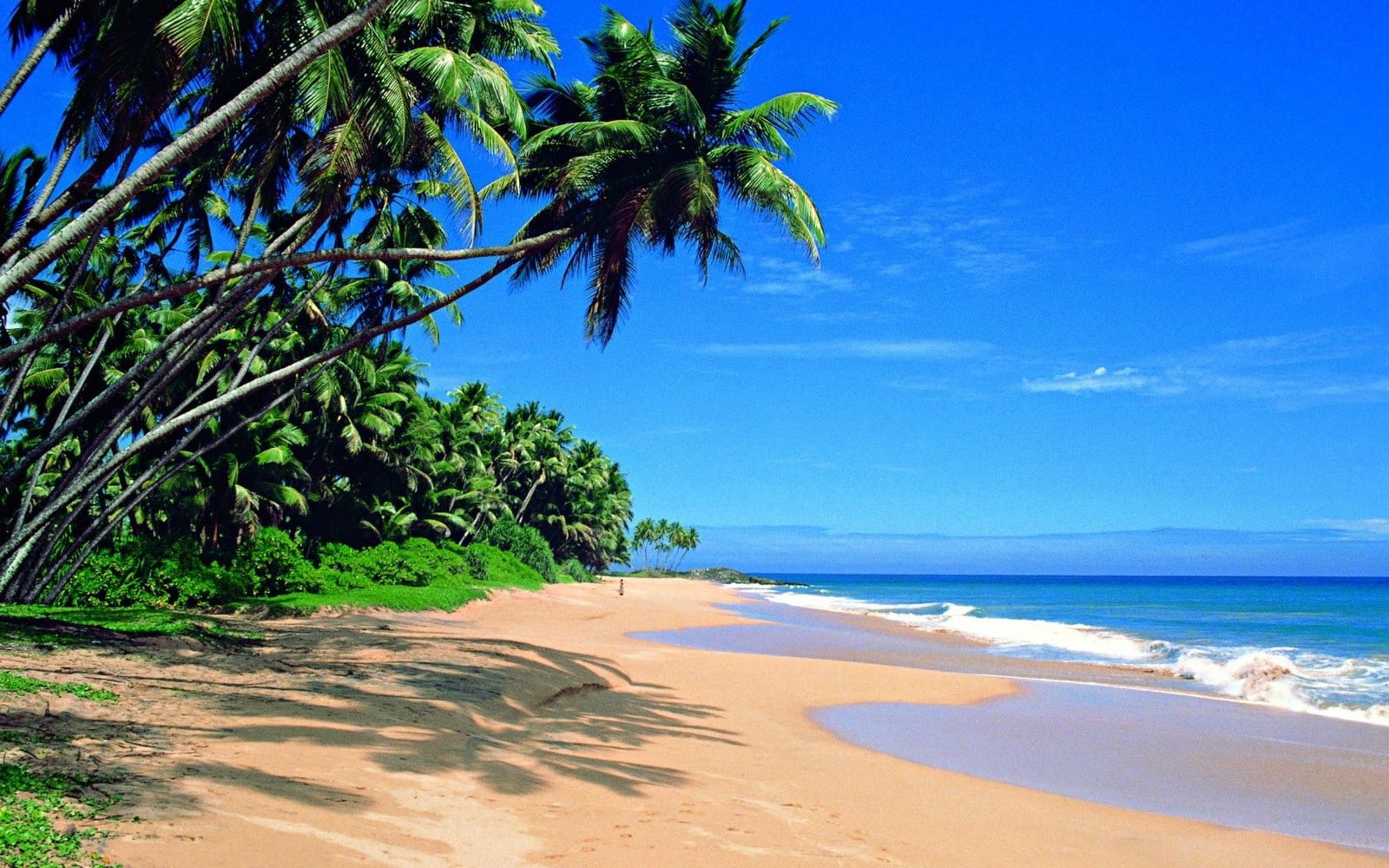 Sri Lanka beach seashore photography palms Ocean 2k
