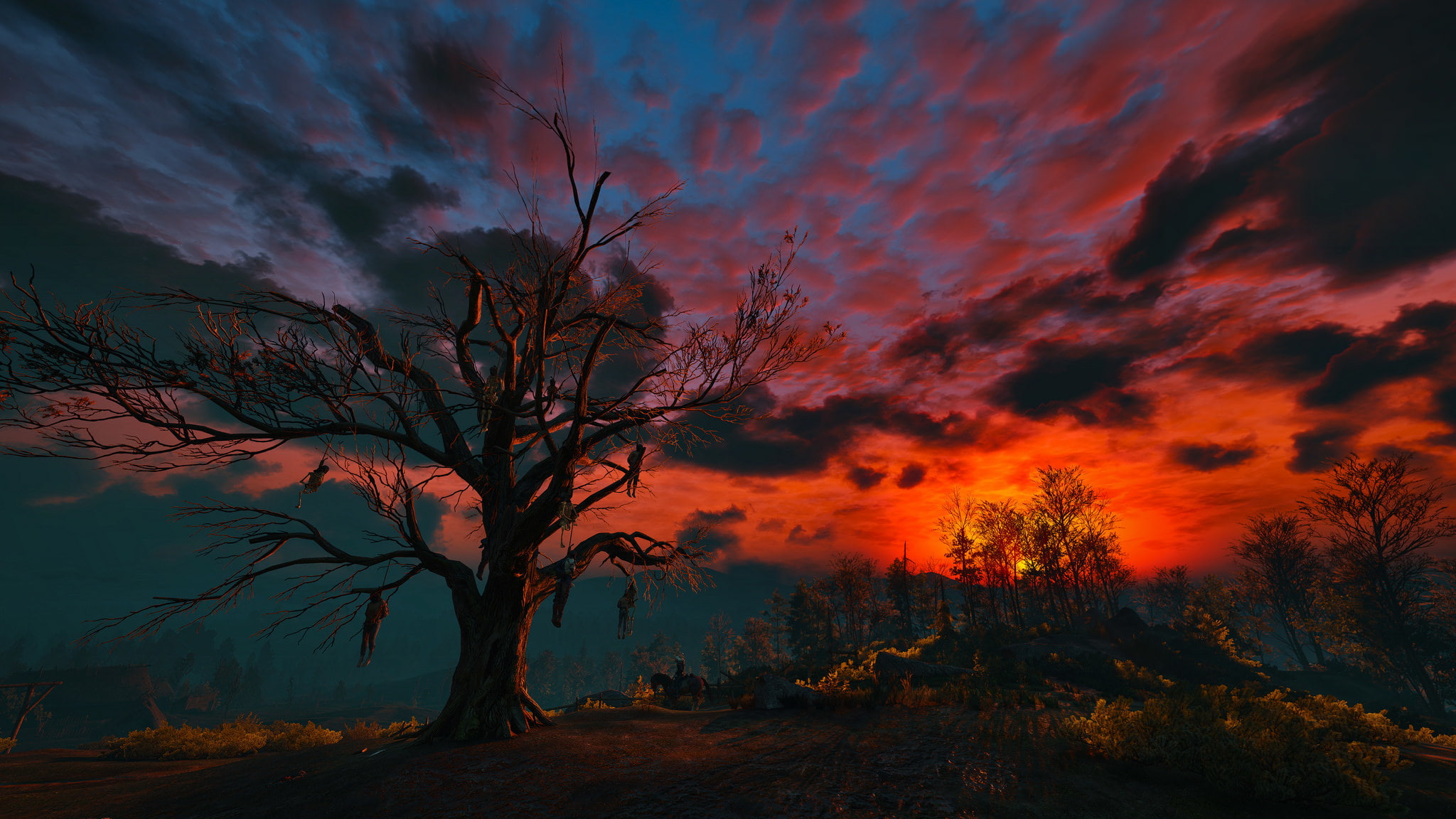the sky clouds night tree The Witcher gallows 3 Wild Hunt 2k