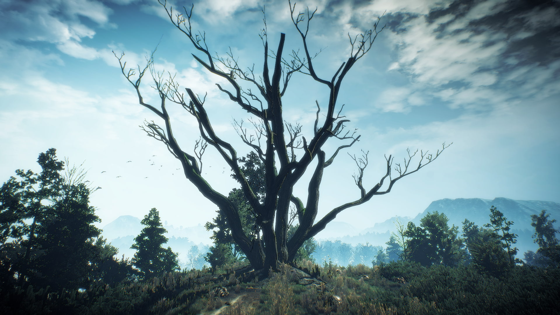 The Witcher 3 Wild Hunt video games computer game screen shot 2k