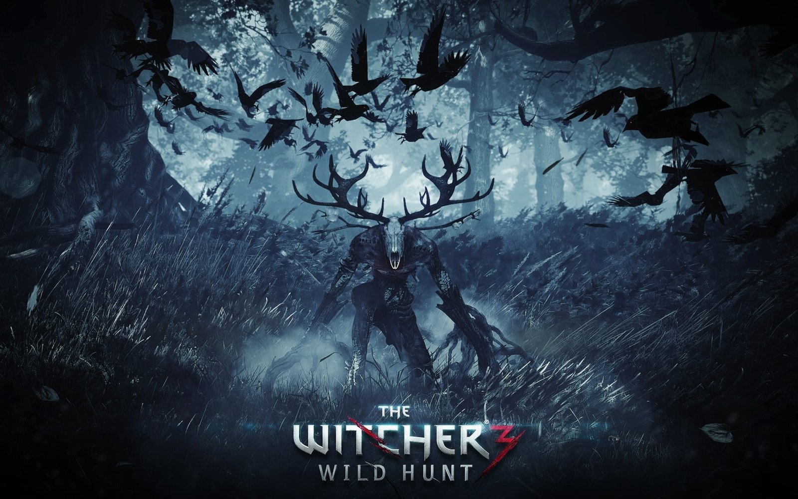 The Witcher 3 Wild Hunt video games 2k
