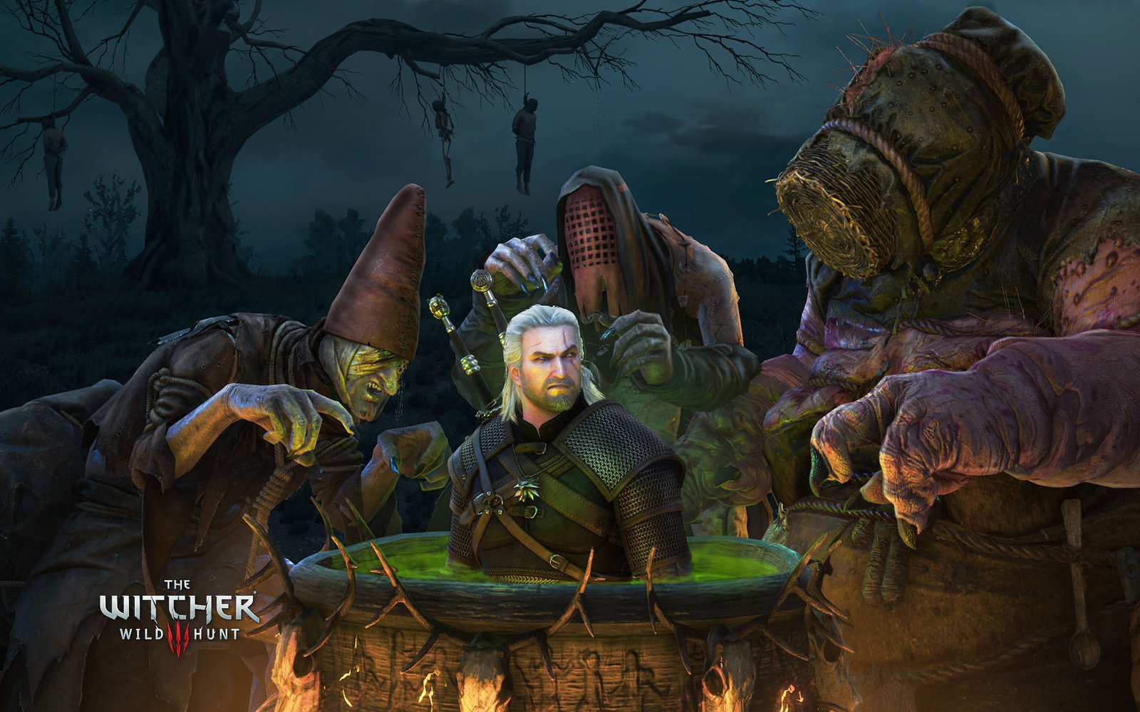 The Witcher 3 Wild Hunt Crones 2k