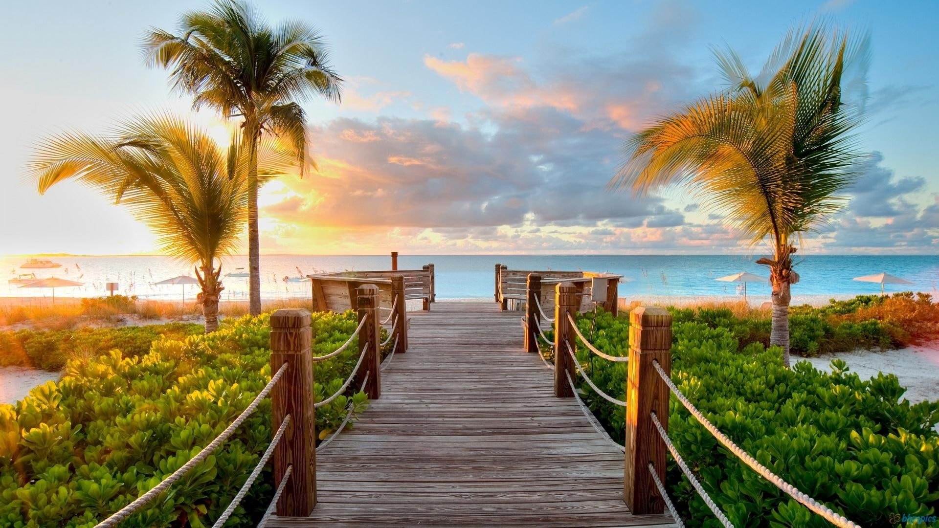 Wooden Pier To Caribbean Beach brown wooden dock piers beaches 2k