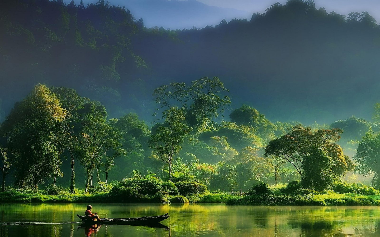 green leafed tree nature landscape mist forest river mountains 2k