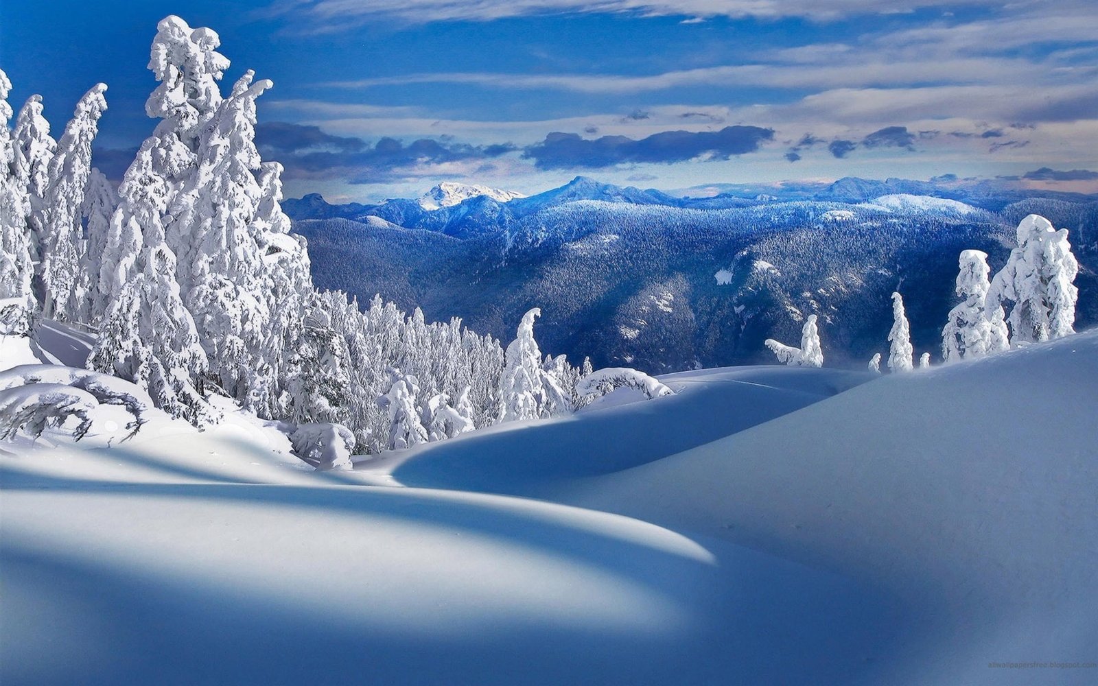 Mountains trees snow winter nature scenery 2k