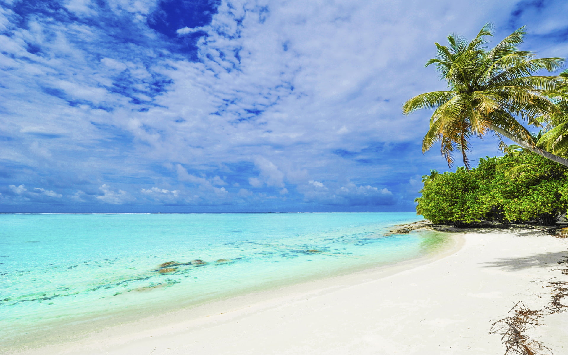 Punta Matira Beach Bora Island Tropical With Palm Tree White Sand And Clear Water Hd Wallpapers High Definition 2k