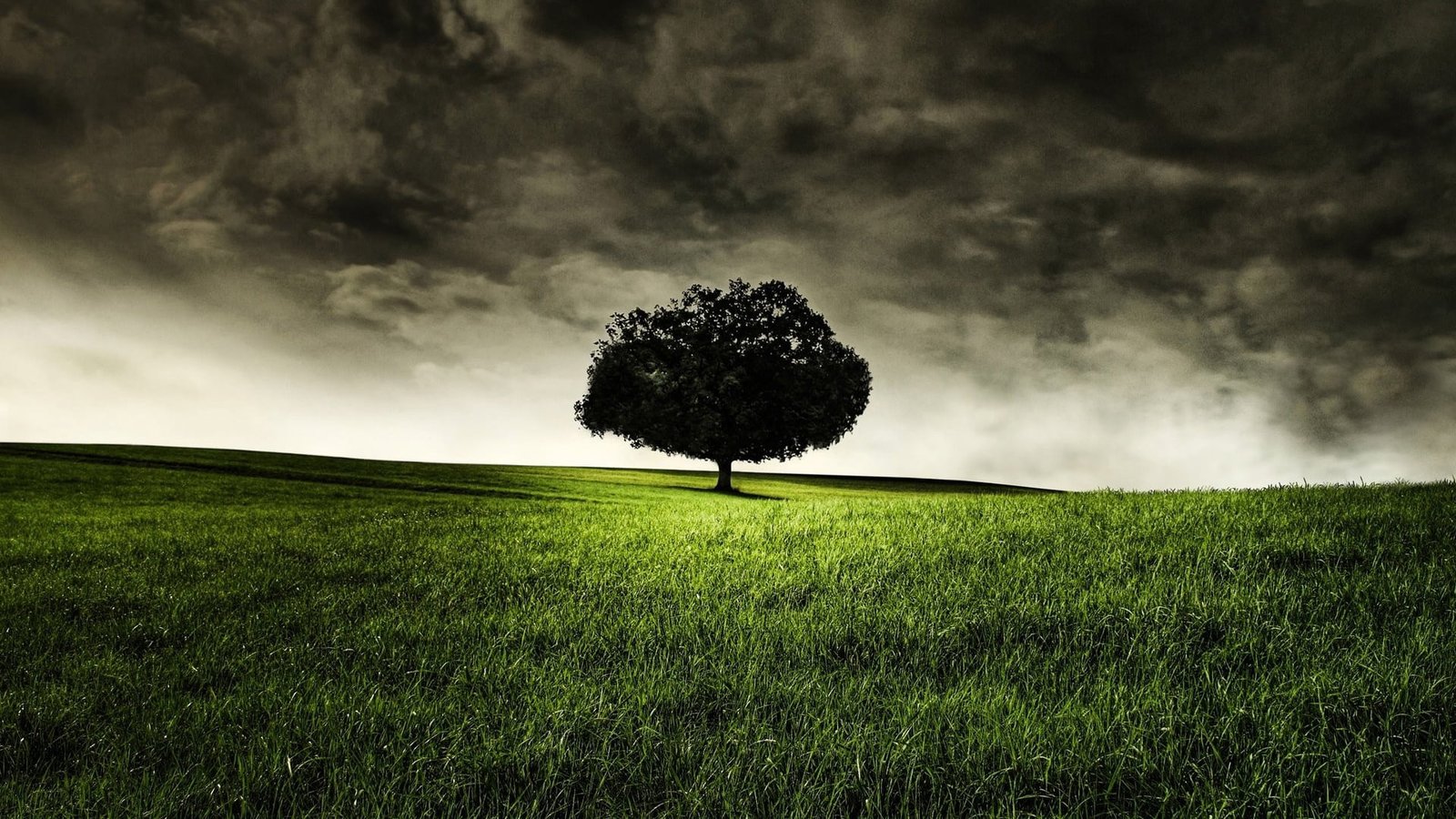 technics field landscape grass rural meadow sky summer 2k