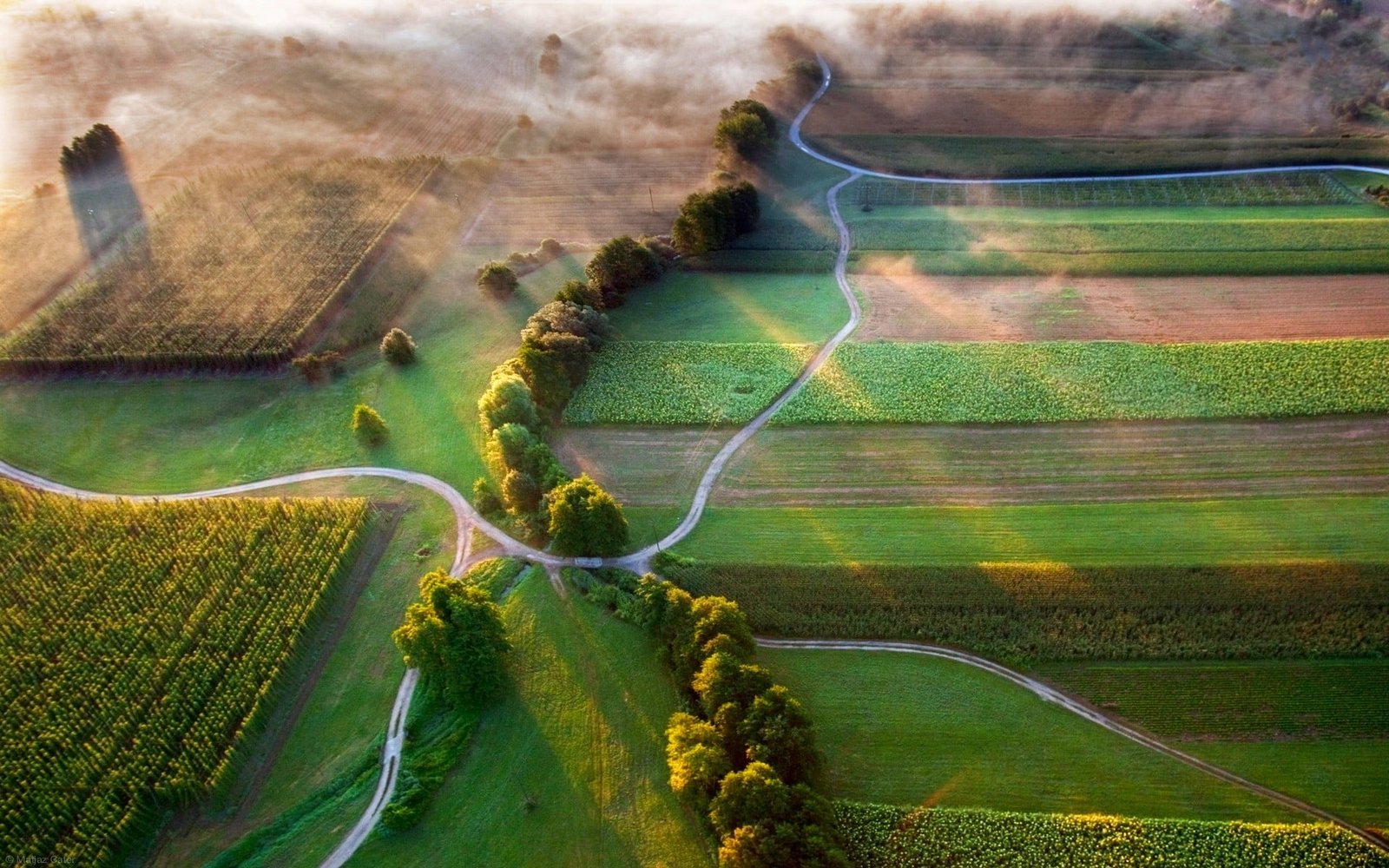 green grass field bird's eye view photography of 2k