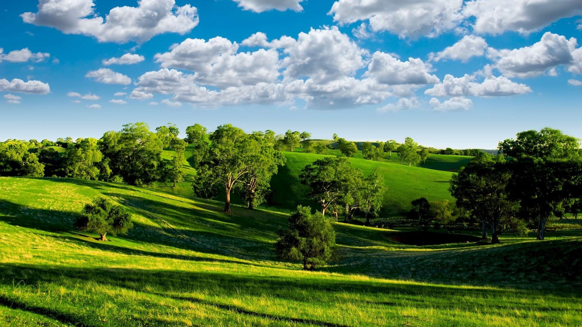 Green valley nature scenery blue sky white clouds trees grasslands sun 2k