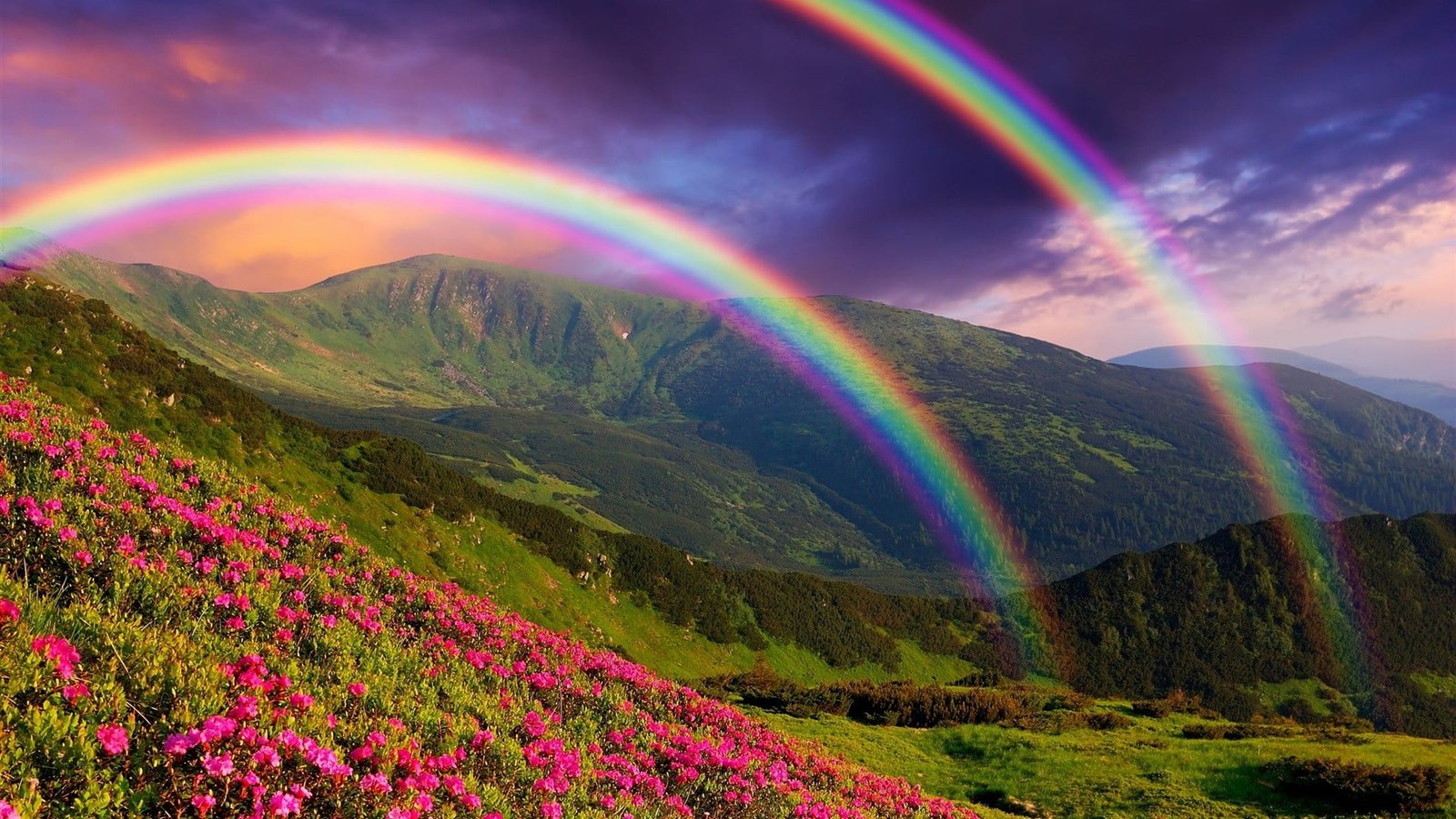 red and blue abstract painting nature rainbows beauty in 2k