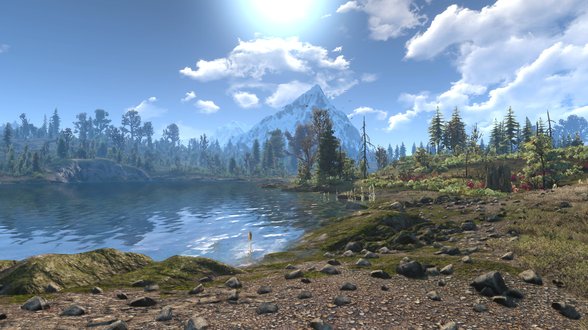 The Witcher 3 Wild Hunt 2k