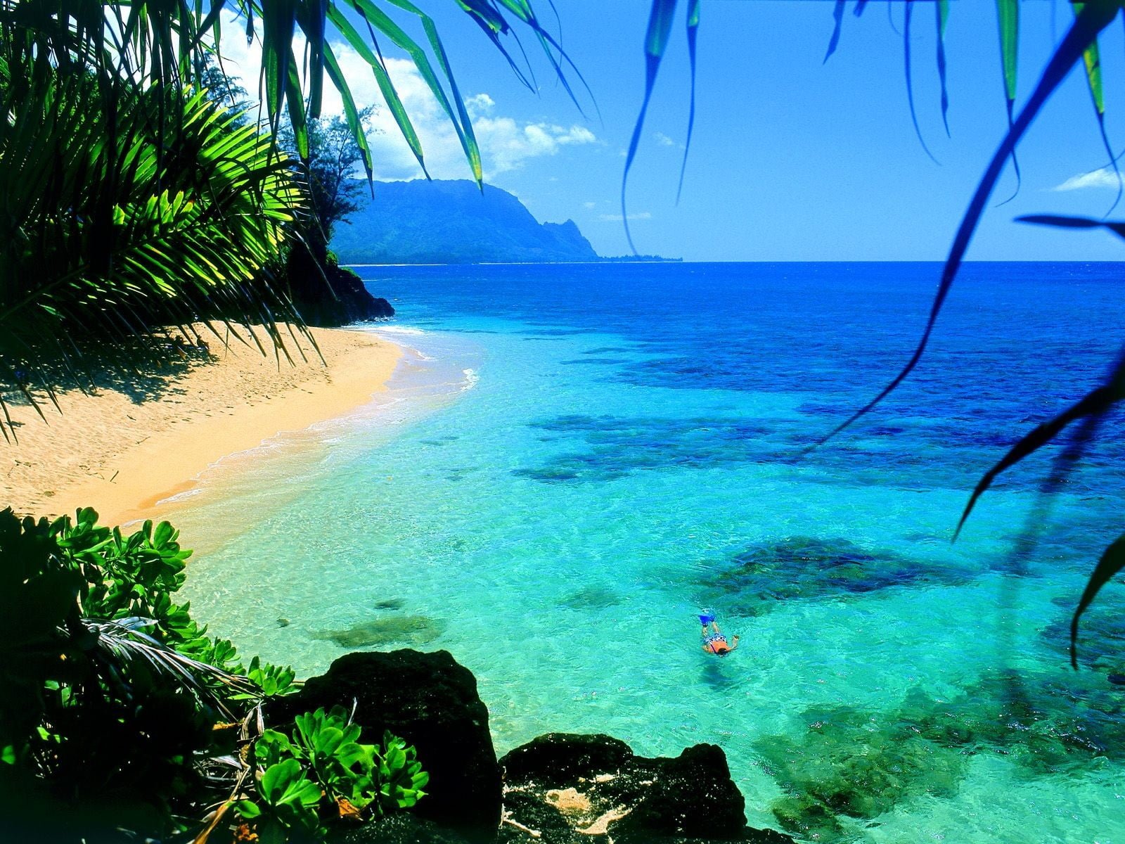 body of water beach sea coast tropical divers beauty in nature 2k