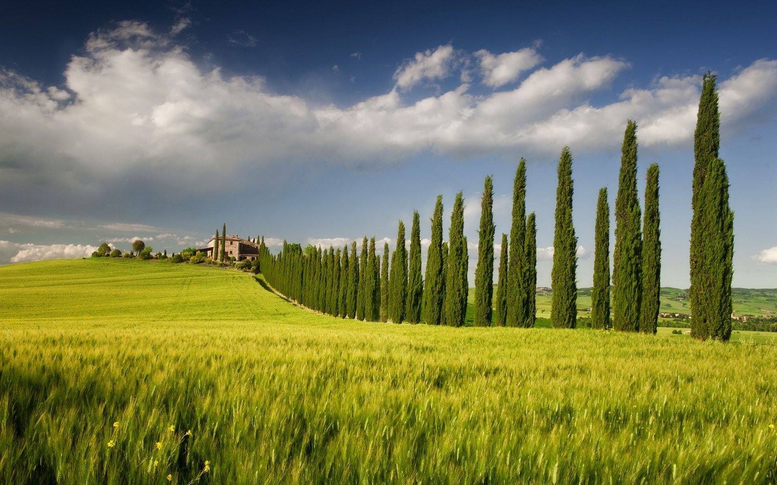 Italy Campania spring scenery fields tree house sky green 2k