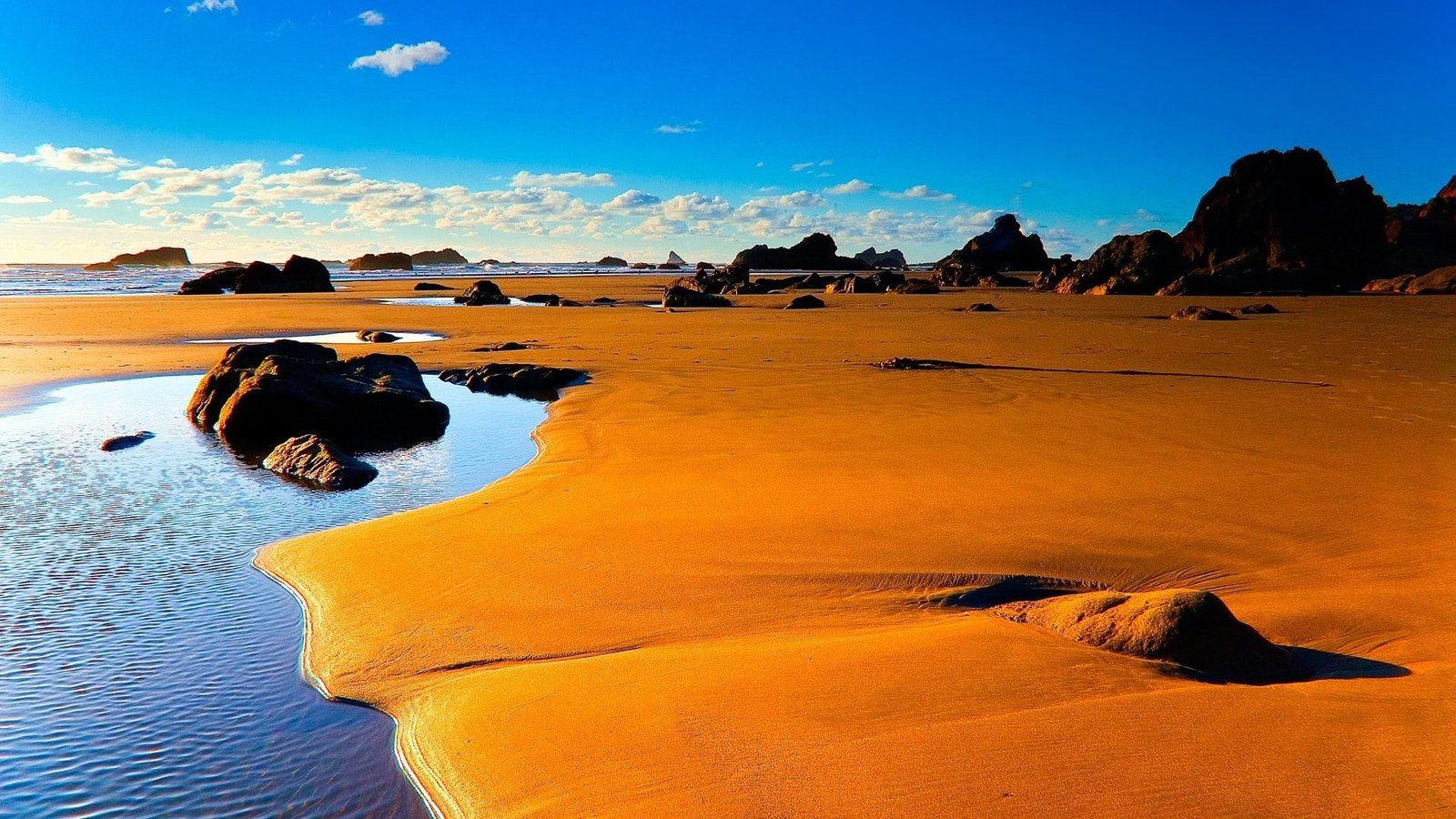 nature beach desert rock land mammal sky scenics 2k