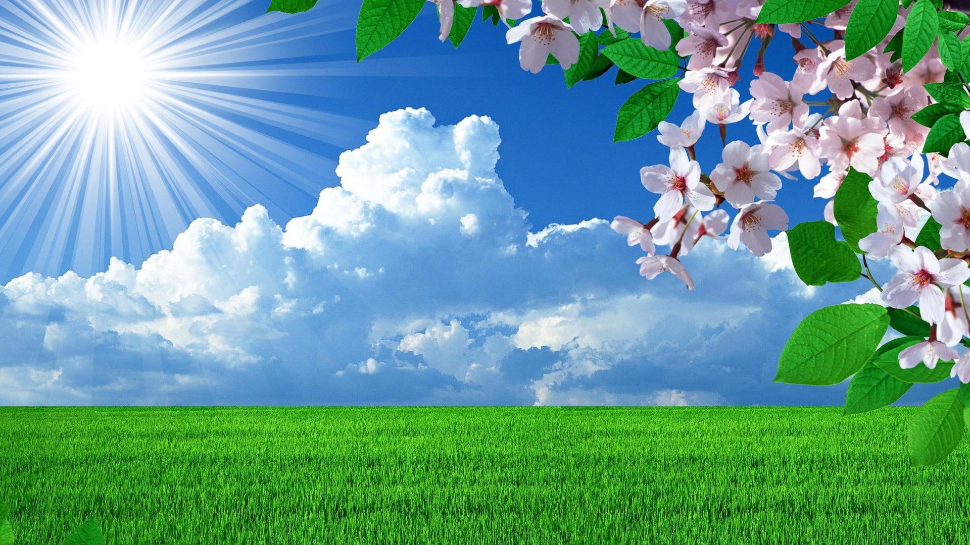 Nature Spring Landscape background pics 2k