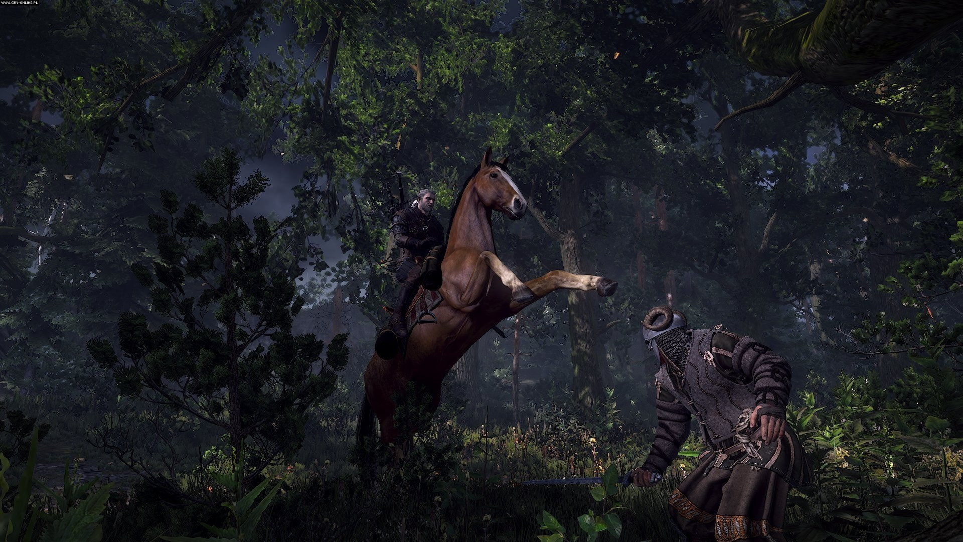 The Witcher 3 Wild Hunt 2k