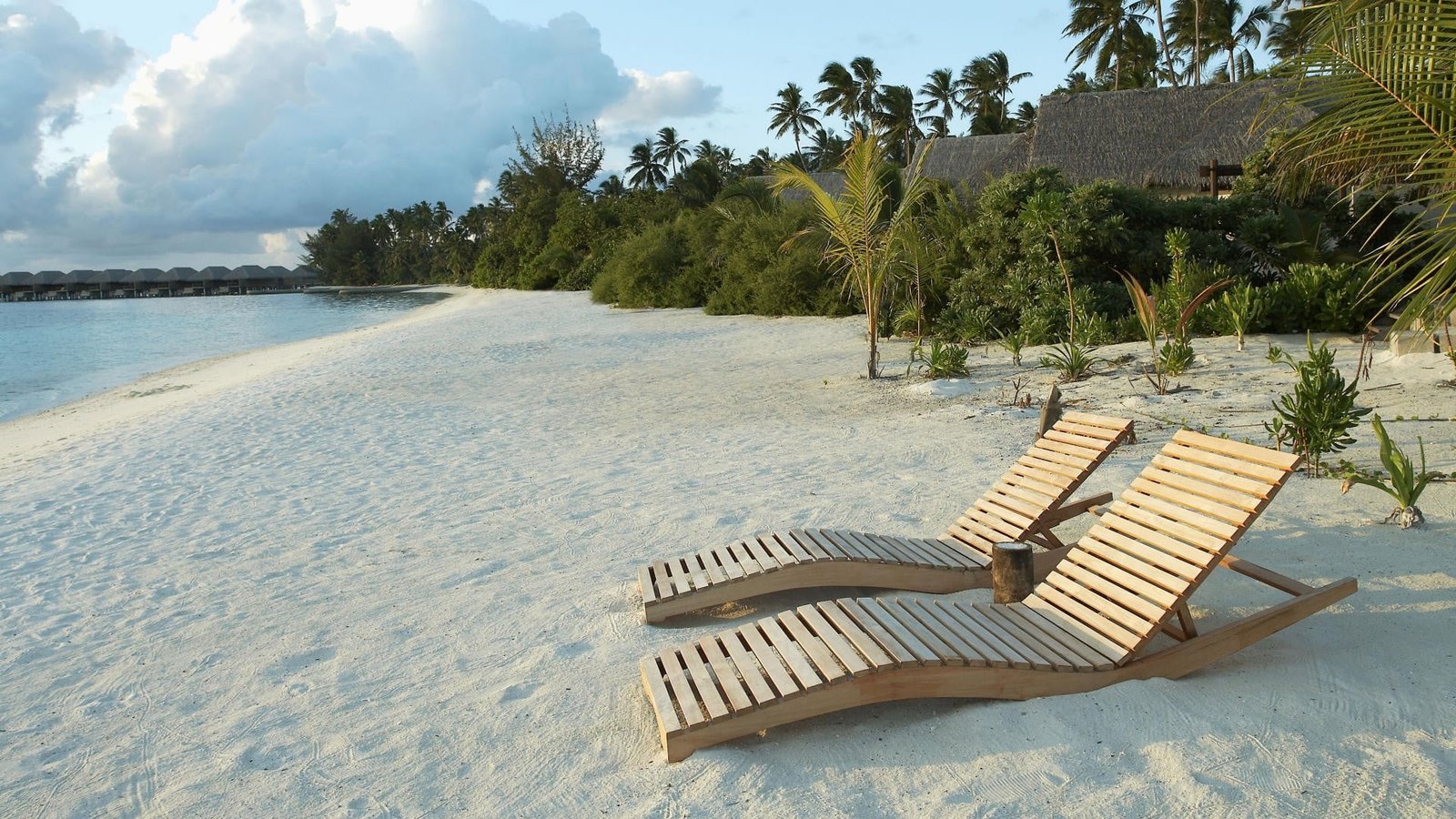 two beige Adirondack chairs beach tree water beauty in nature 2k