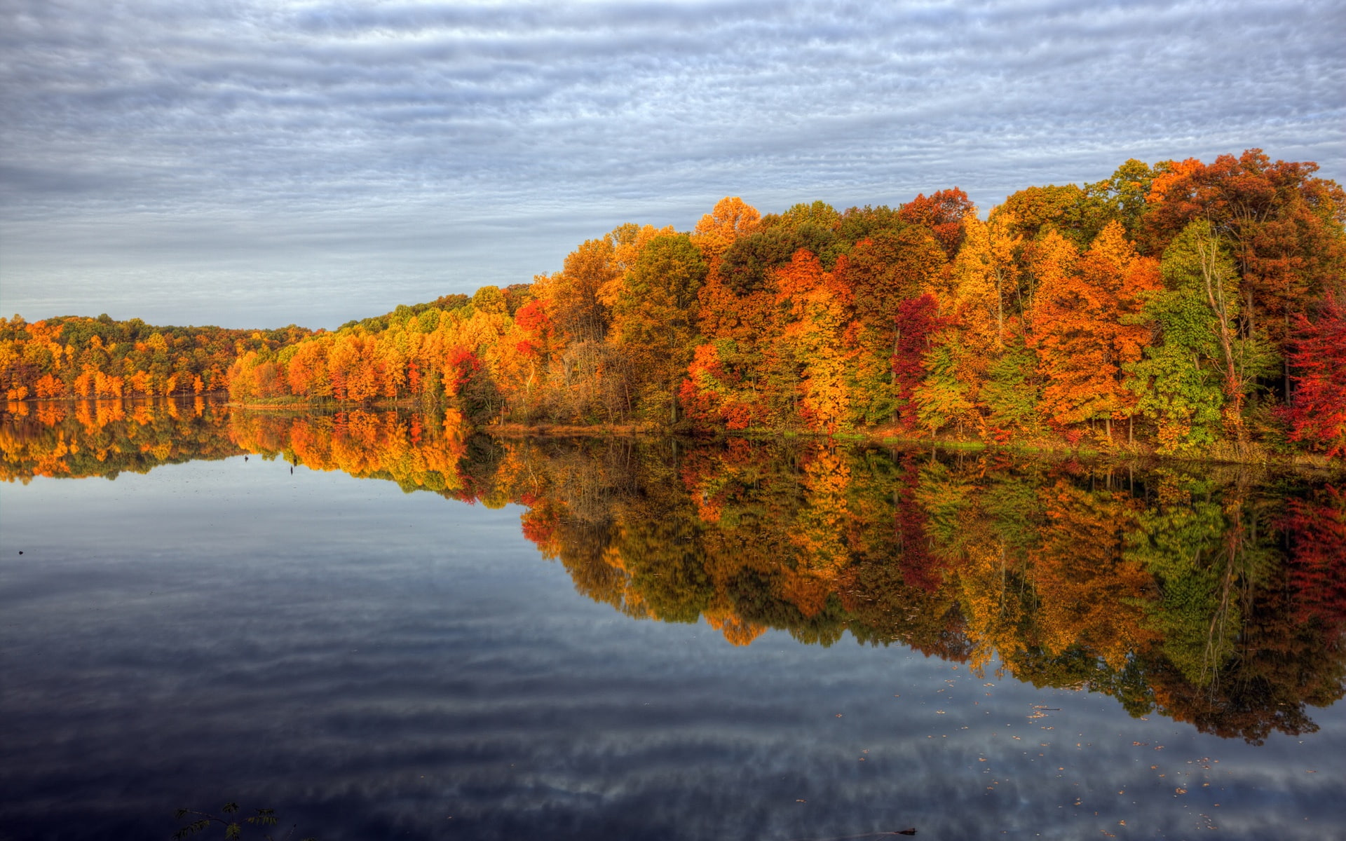 Autumn lake nature scenery trees sky water reflection 2k