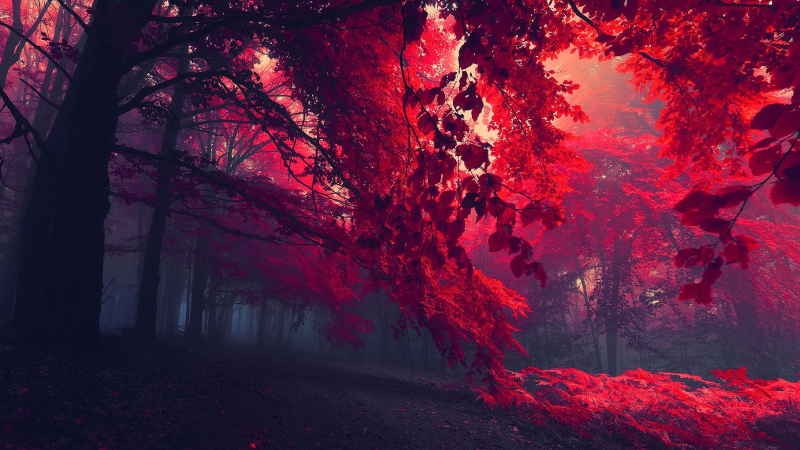 nature mountain landscape sky color canyon tree volcano 2k