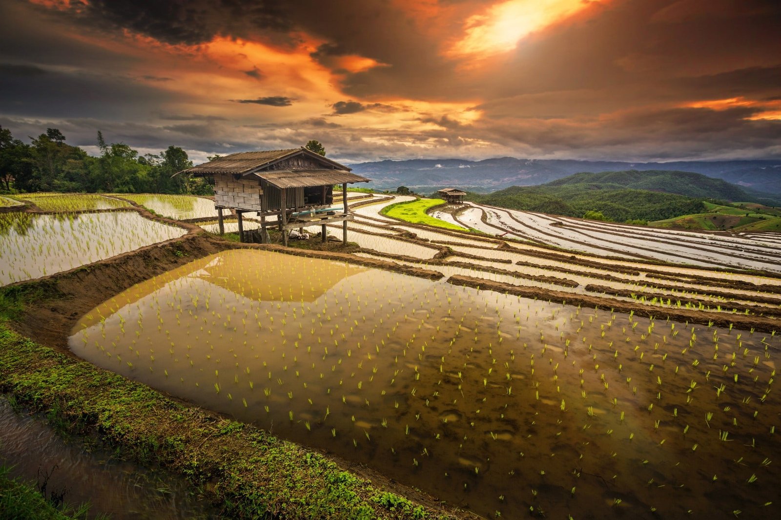 brown hut rice paddy terraces water clouds hills field 2k