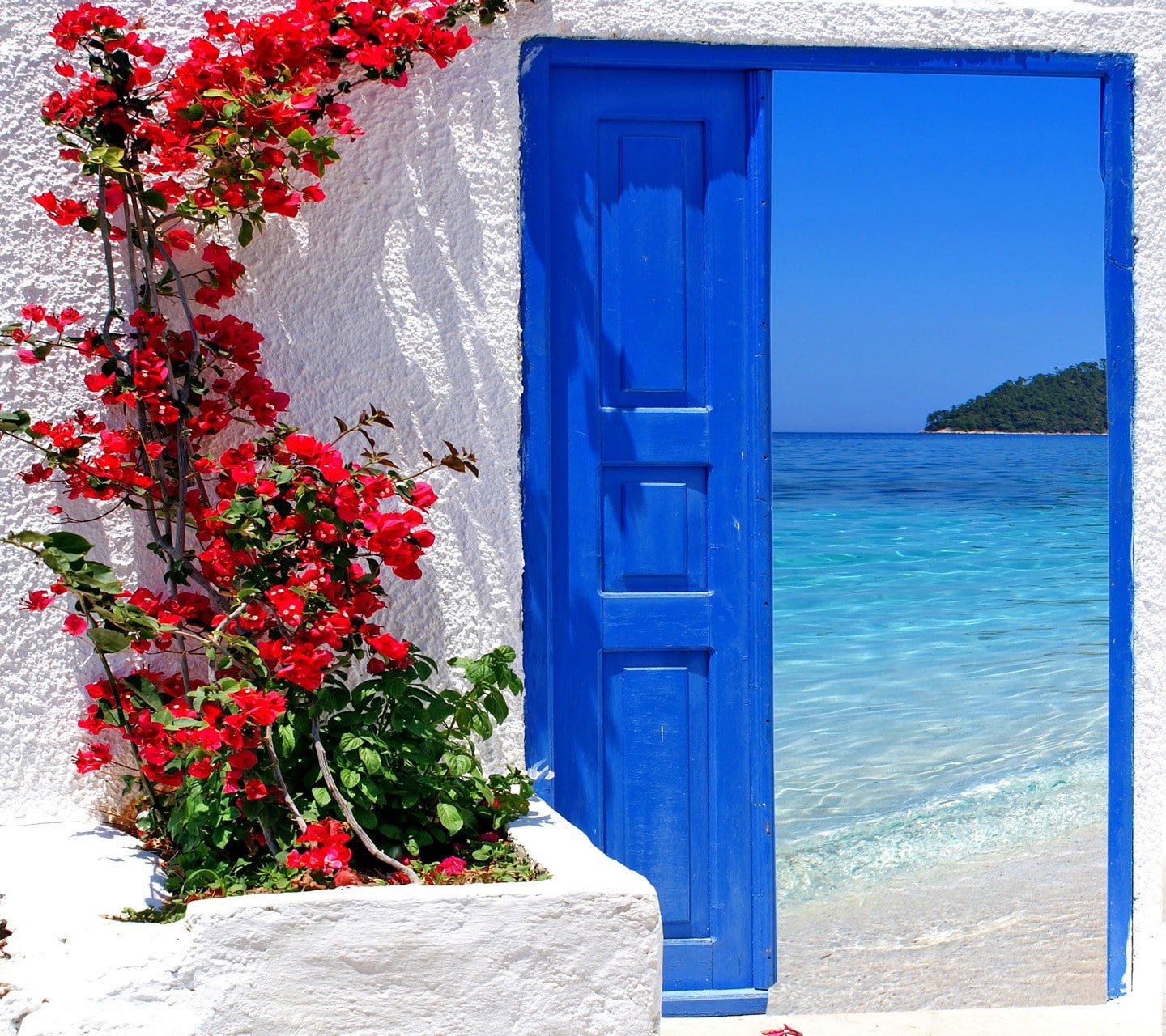 flowers beach plant blue nature water entrance no people