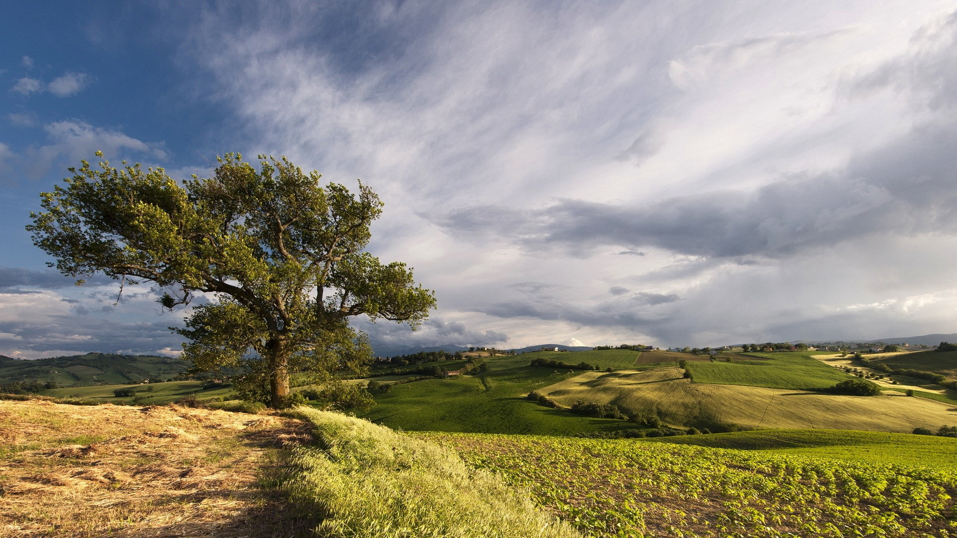 hd image of nature for pc 2k