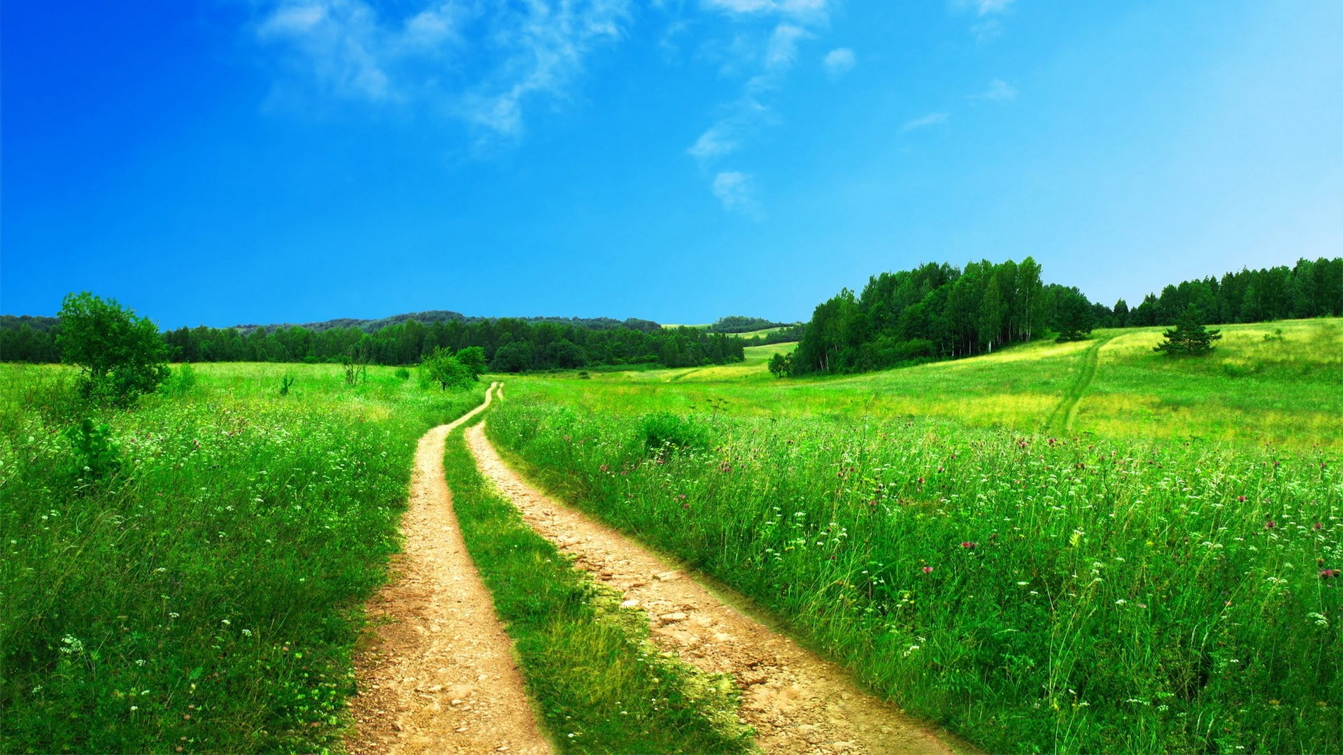 images backgrounds nature 2k