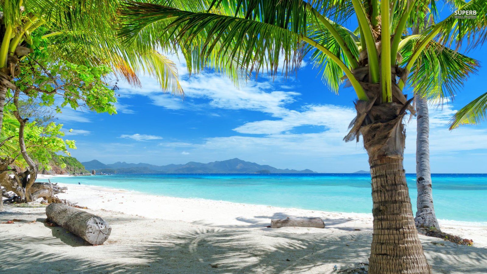 nature beach sea turquoise seascape true laurel water 2k
