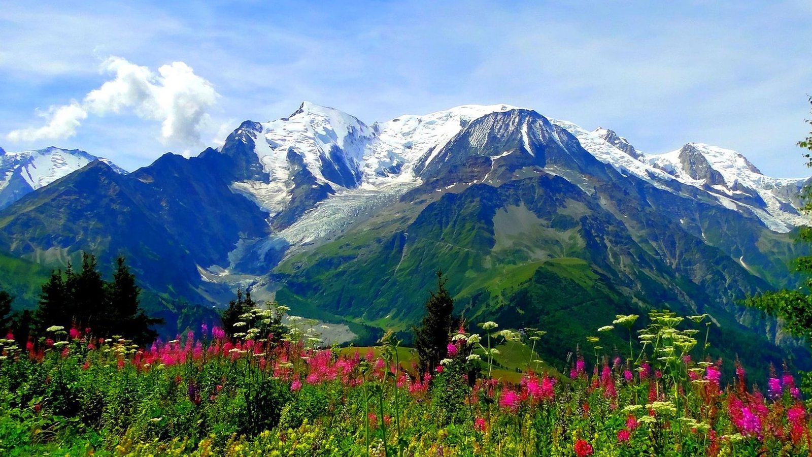 Valley Of Flowers National Park Trek In Uttarakhand India Meadow Alpine Mountains With Snow Peaks Landscape Hd Desktop Backgrounds 2k