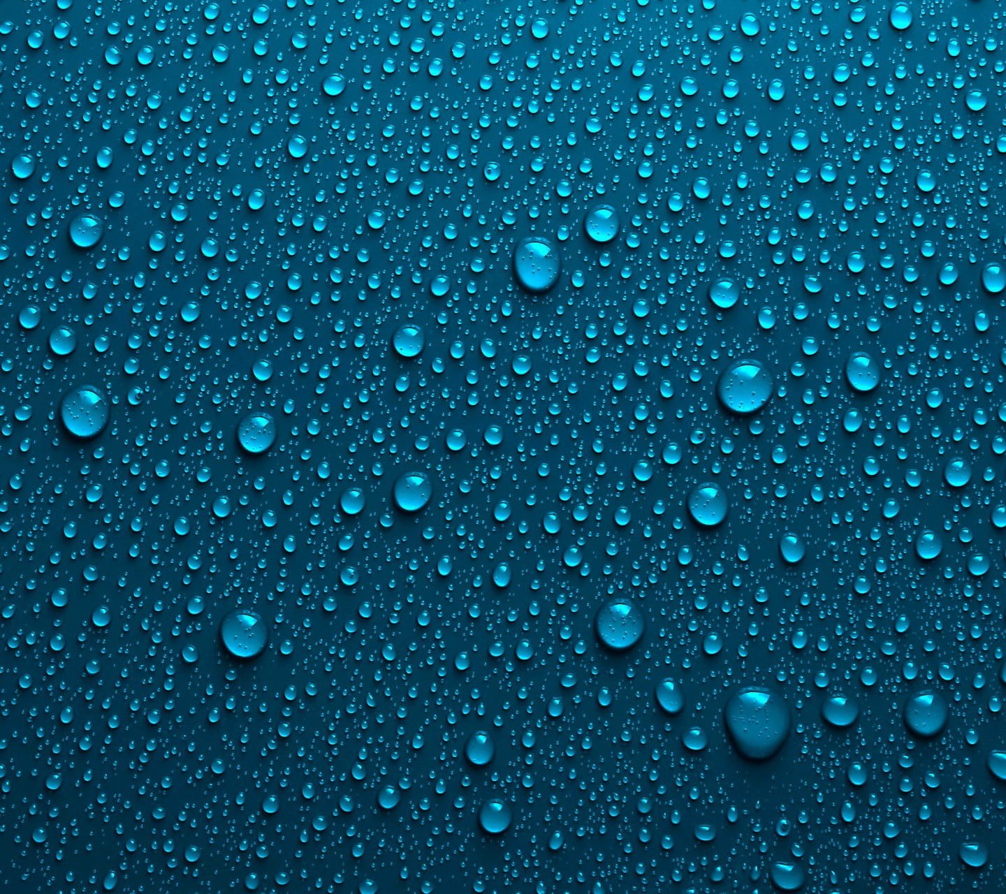 water bubbles nature backgrounds wet drop no people full frame