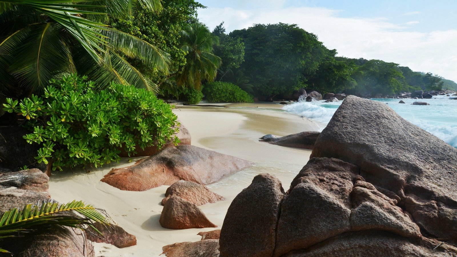 Tropics sea beach gray rock waves rocks palmist Nature s 2k