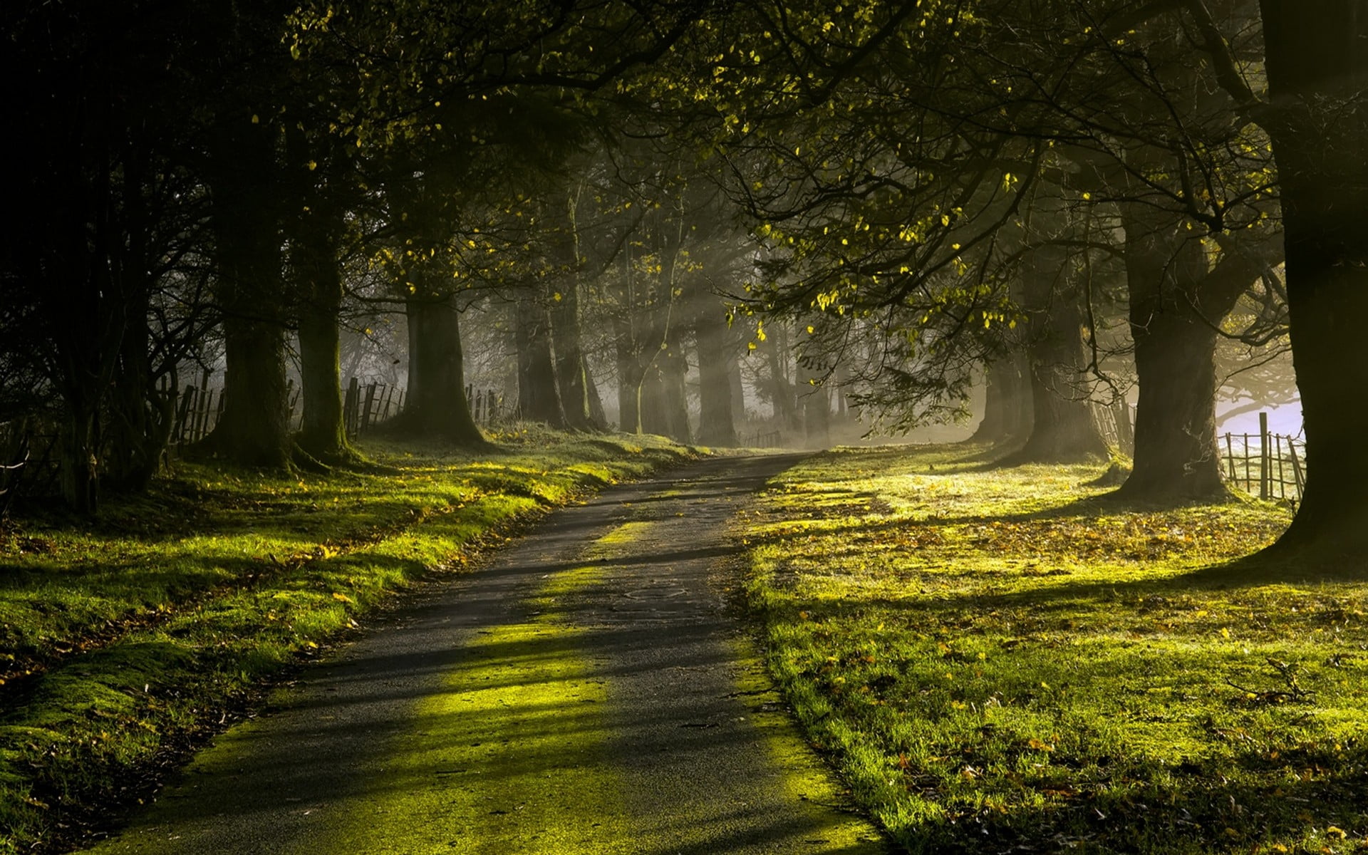 dirt pathway and trees green grass field near tree nature landscape 2k