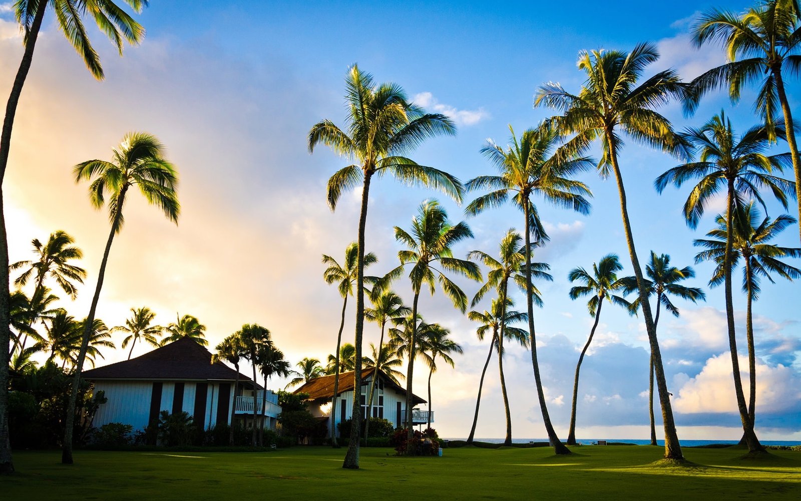 Hawaii Kauai beautiful scenery palm tree summer house beach near trees 2k