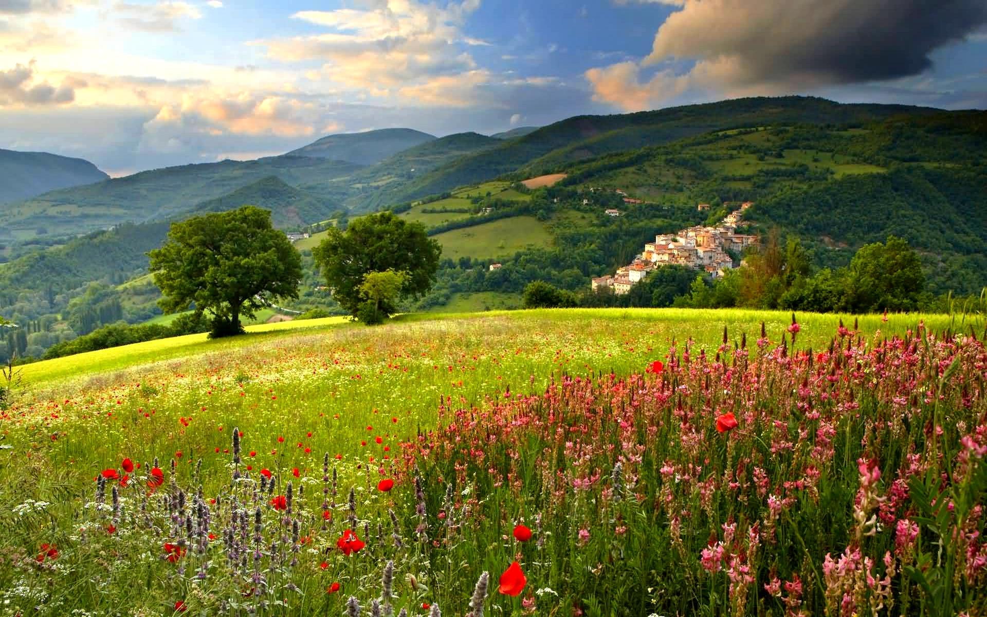 Refreshing Scenery trees mountain field houses clouds blossoms 2k