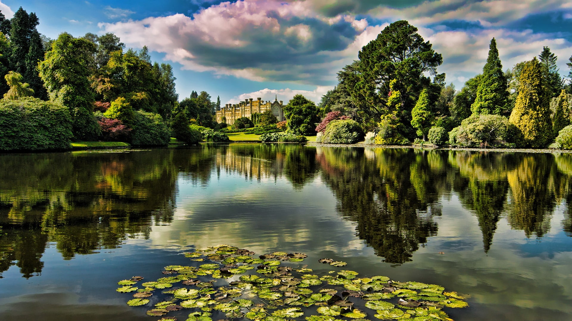calm body of water at distance to trees nature landscape forest 2k